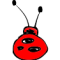 Lady Bug 2