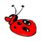 Lady Bug 3